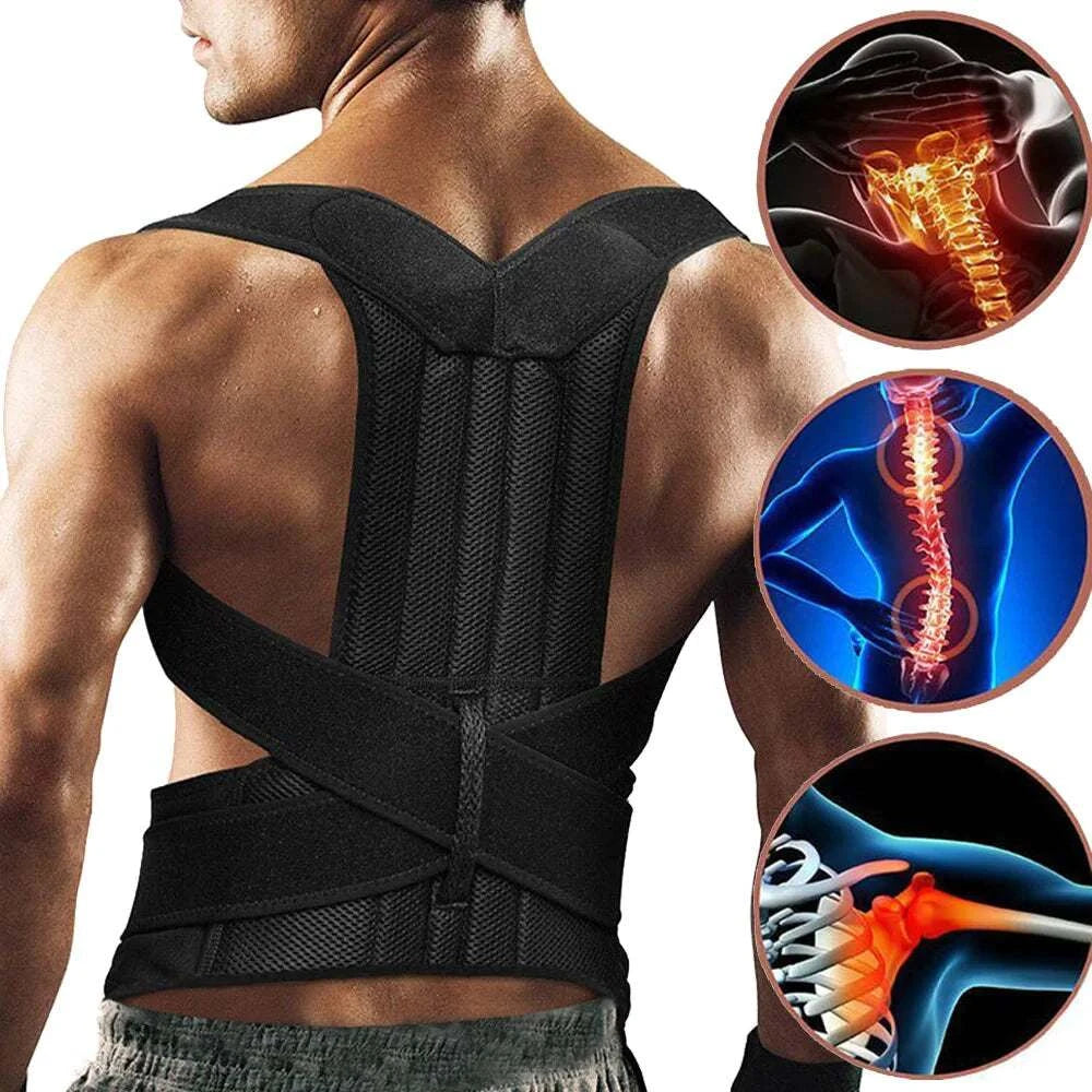 posture corrector and Low Back Support Shoulder Brace Belt