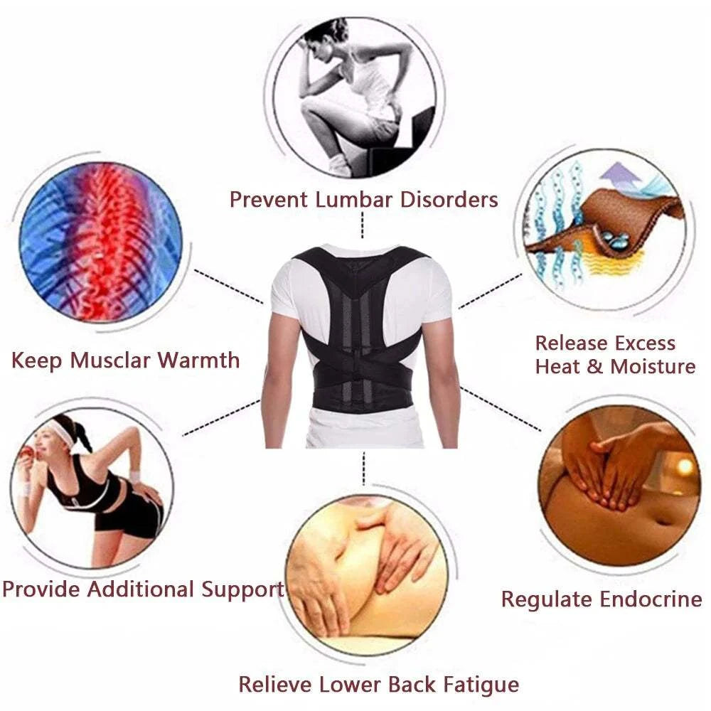 posture corrector and Low Back Support Shoulder Brace Belt